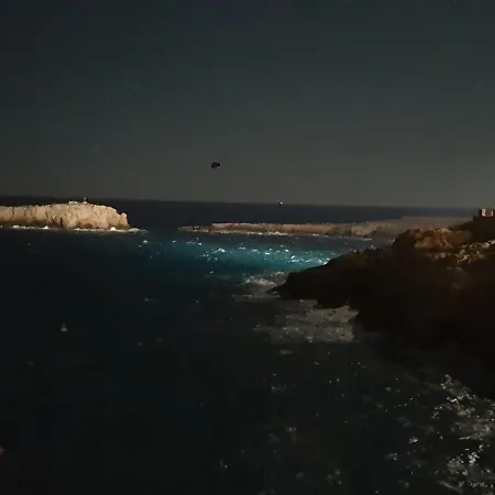 Fiore Di Mare